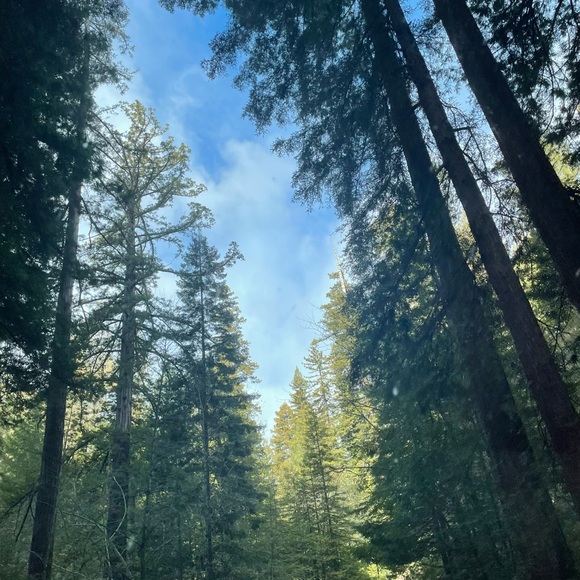 POSH AMBASSADOR 2 & suggested user.. 😊 - Picture 10 of 17